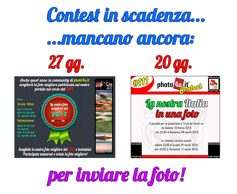Scadenza Contest p4u