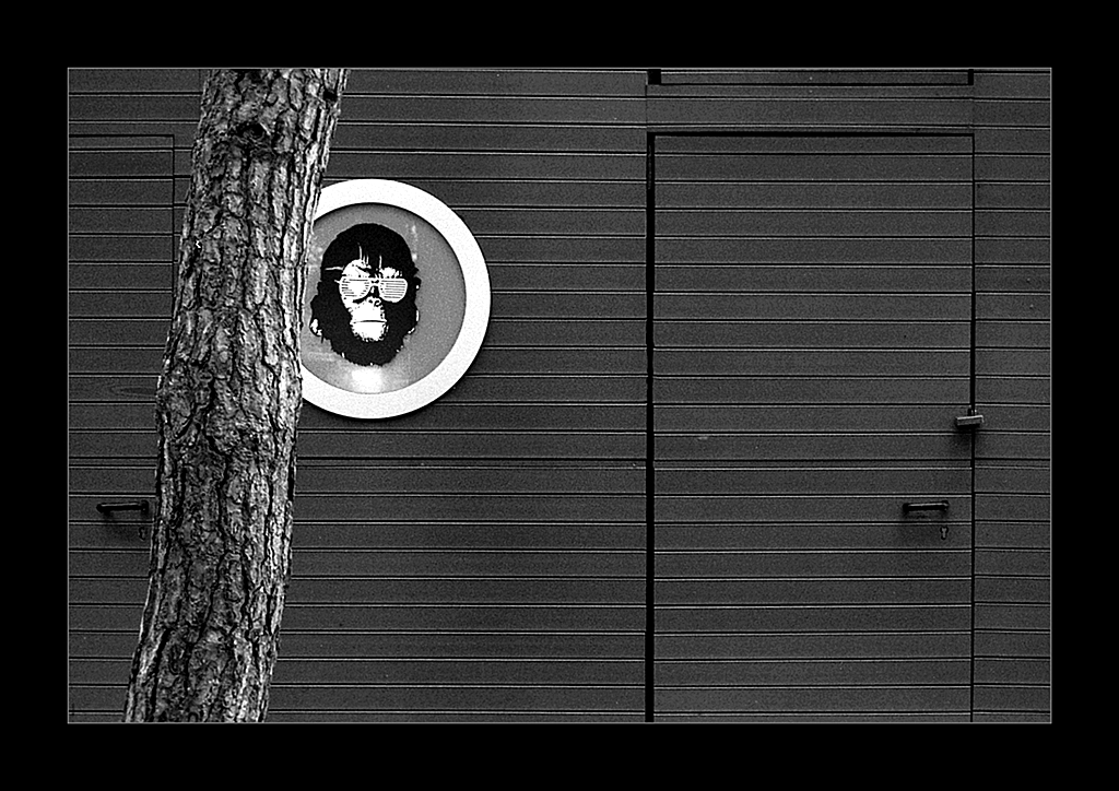 Trieste Barcola img.050