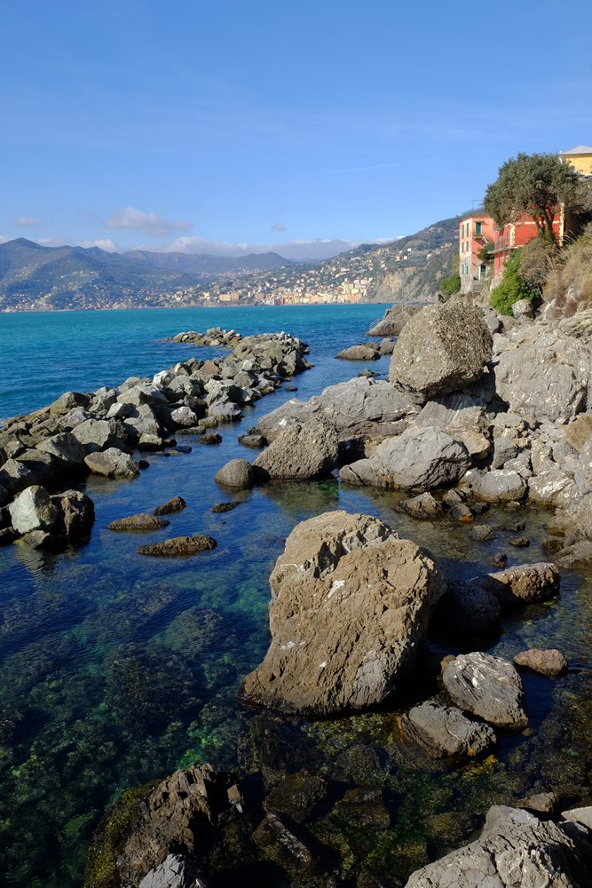 Aspettando la primavera