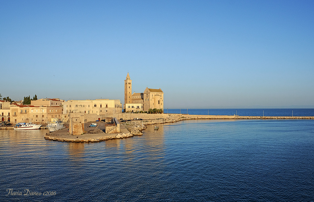 Trani