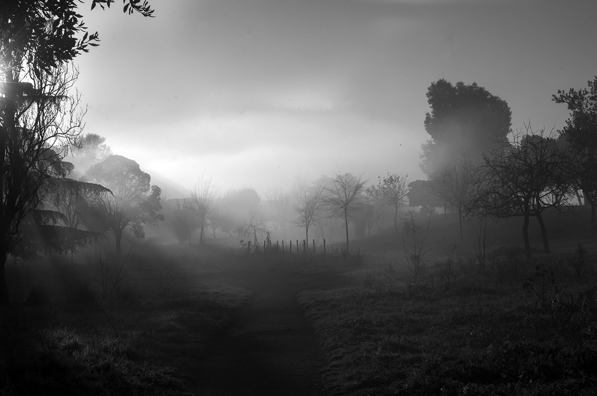 Parco degli acquedotti