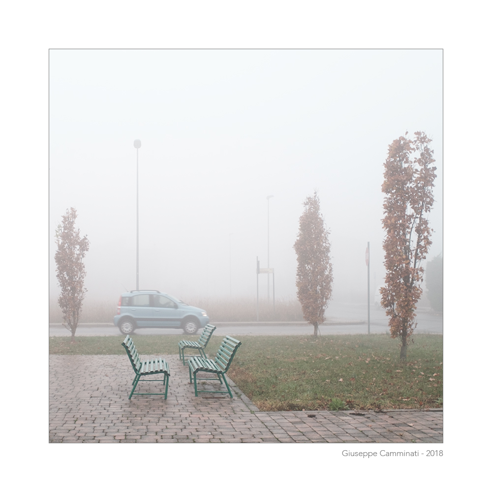 Una Panda nella nebbia