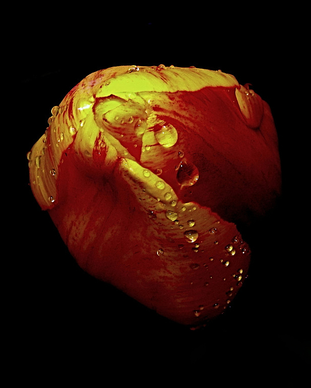 ***Gocciolandoancora***