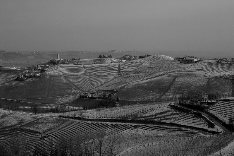 Langhe