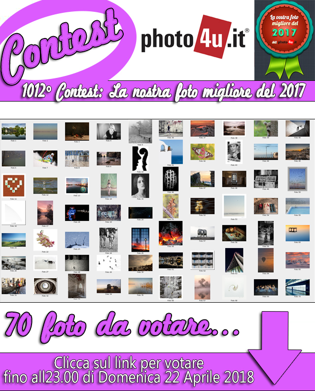 La nostra foto migliore del 2017 - Votazione