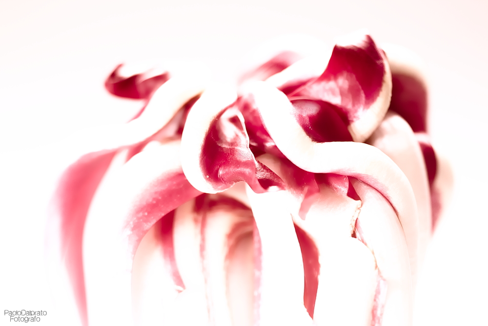 Cibo e quello che c'� intorno