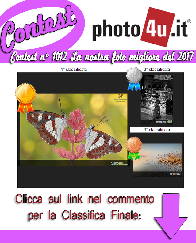 Contest 1012 - La nostra foto migliore del 2017