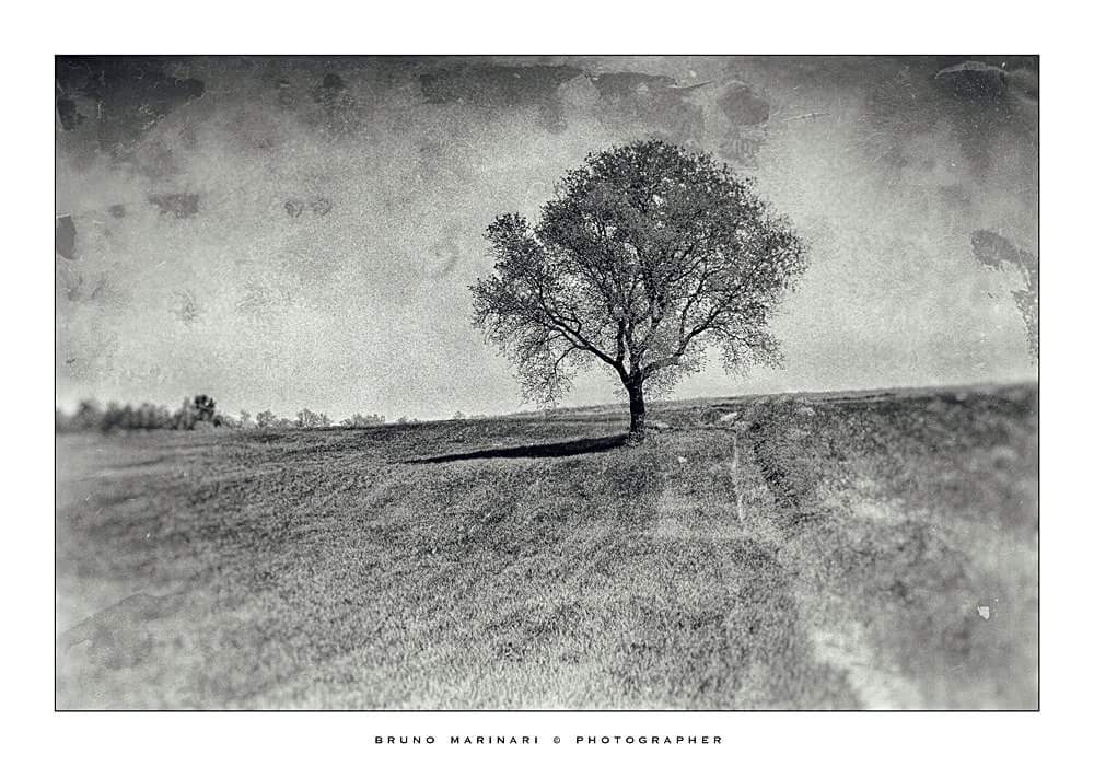 paesaggio su lastra umida