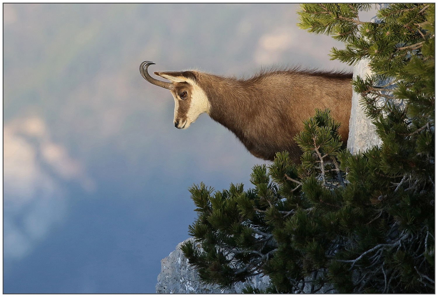 Al primo sole del mattino.