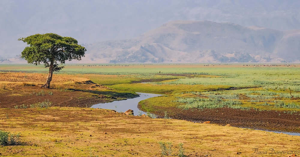 L'Africa che non ti aspetti