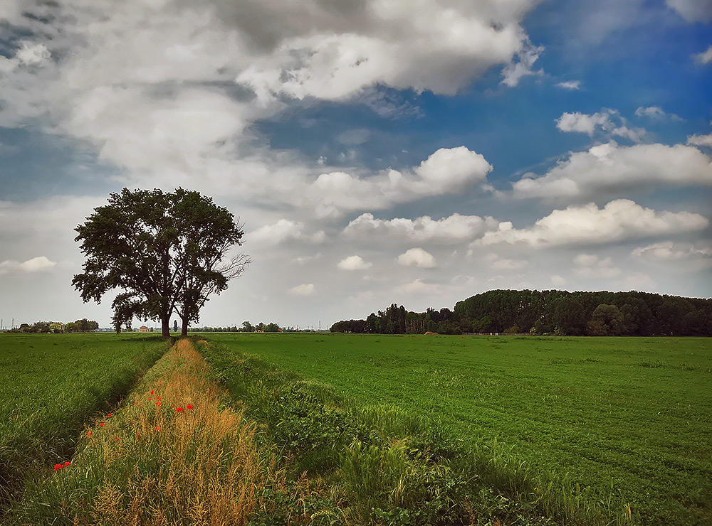 Prime prove col cellulare