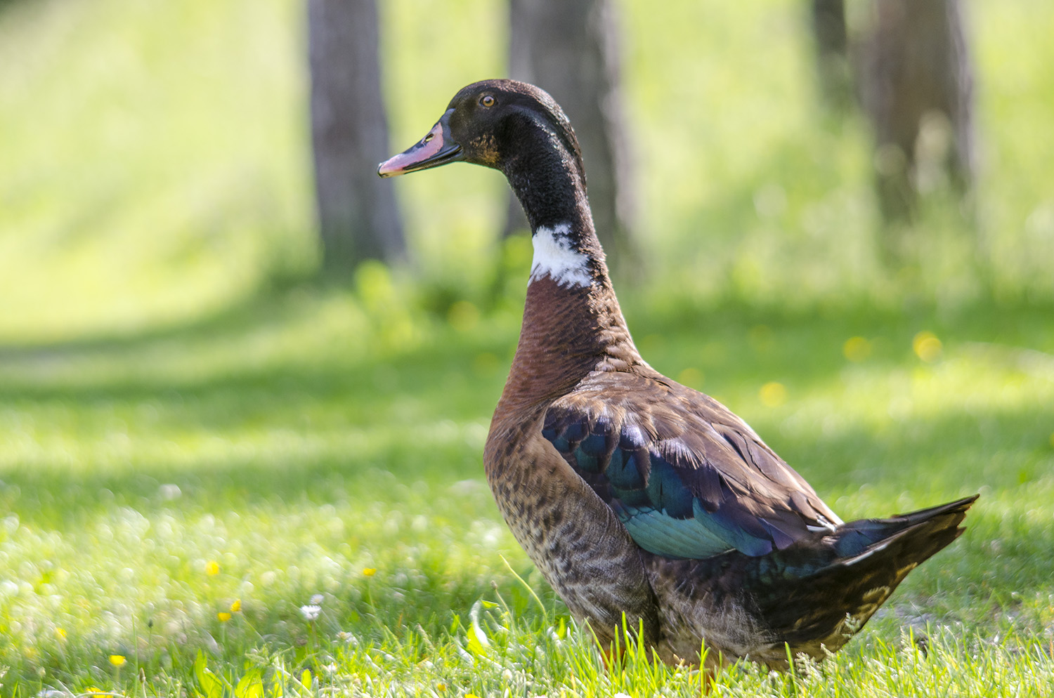 Ti tengo d'occhio!!!!