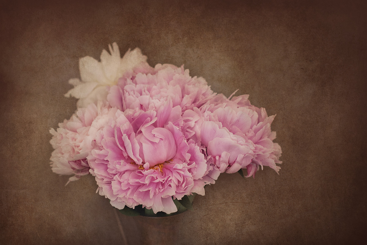 Voglia di Romanticismo