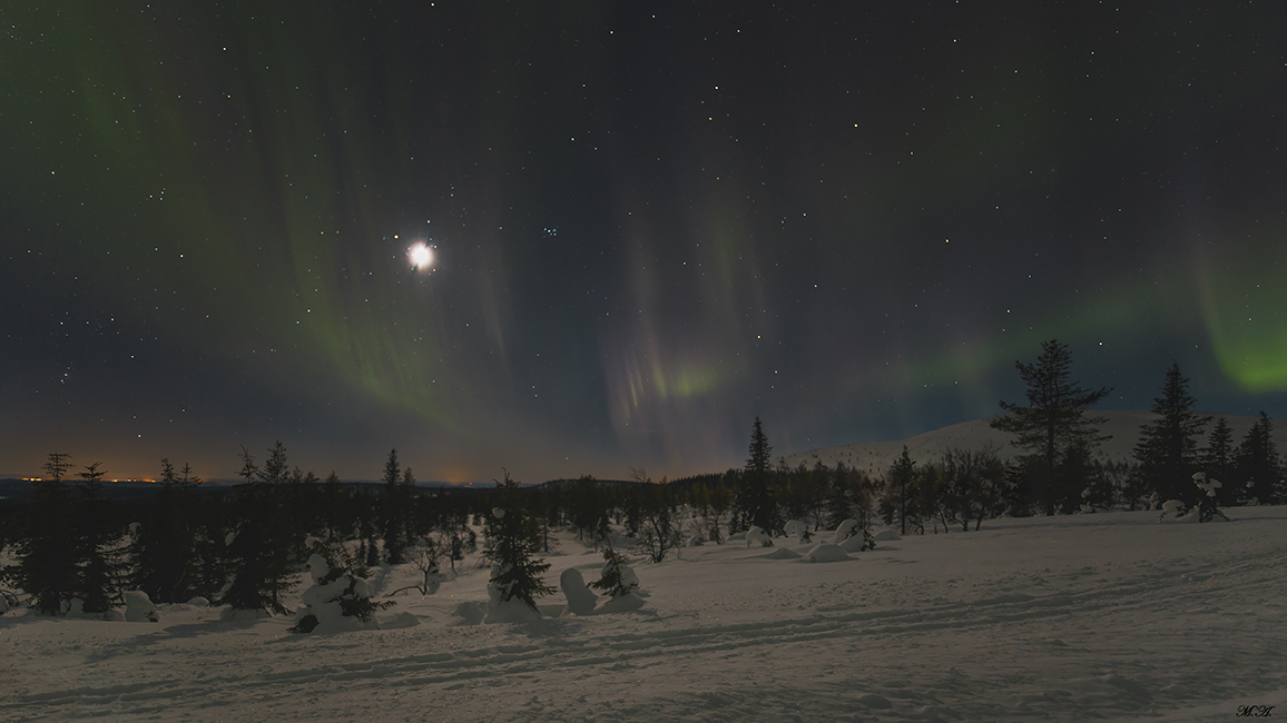 Le regine della notte