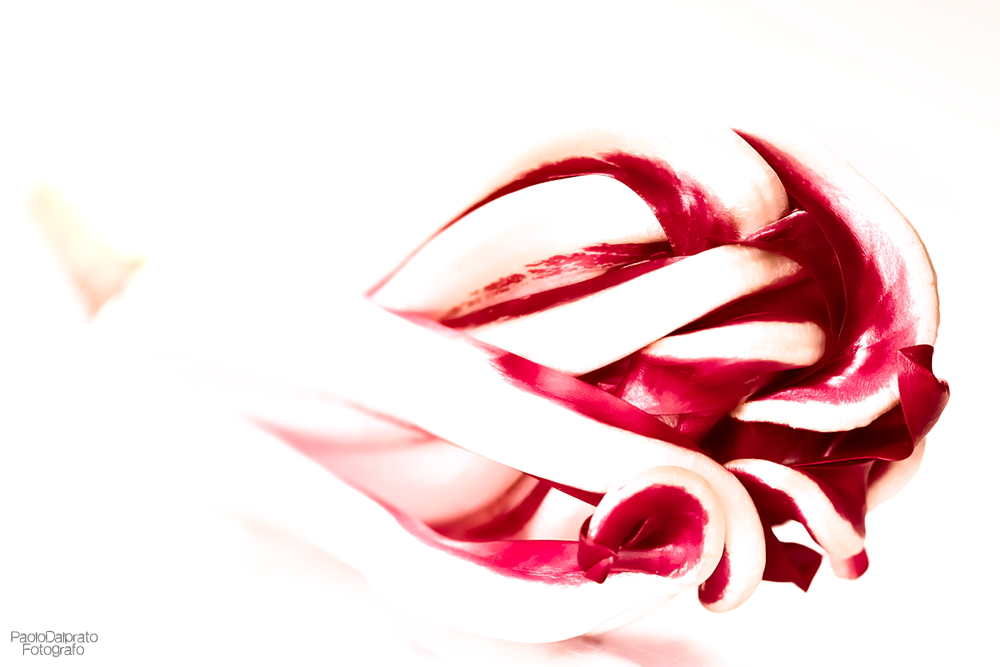 Cibo e quello che c'� intorno