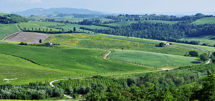 Colline Toscane