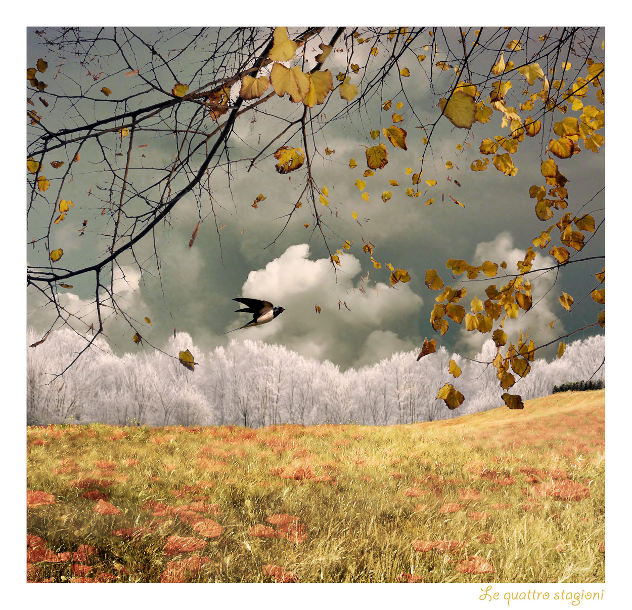 le quattro stagioni...