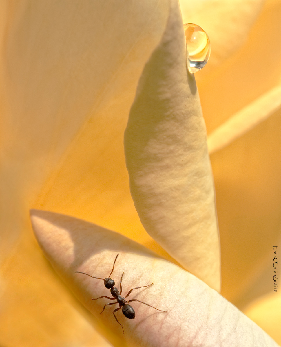 Surfista con onda...