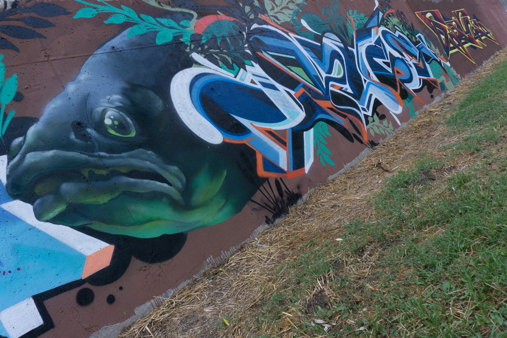 MURALES SUL FIUME PO