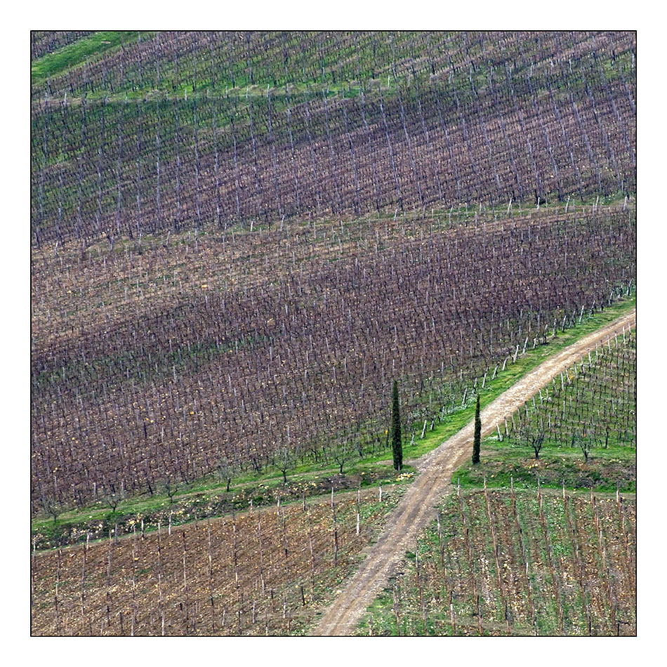 Tra le vie del Chianti