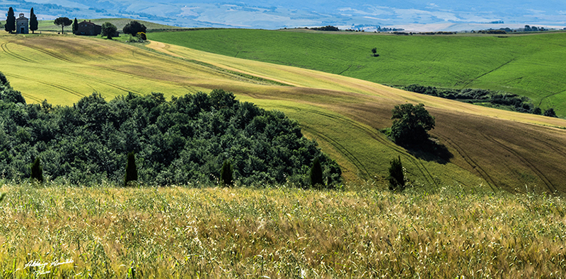 Colline Toscane val d'orcia