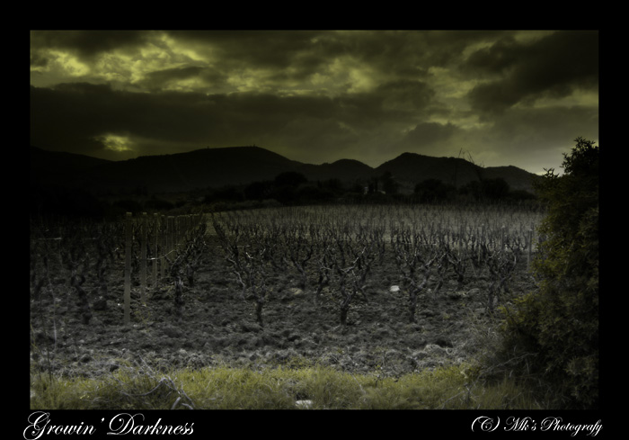 Growin' Darkness