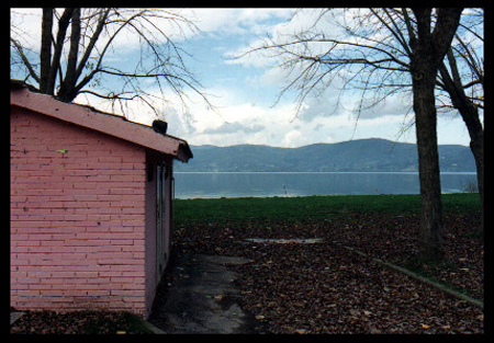 pink house