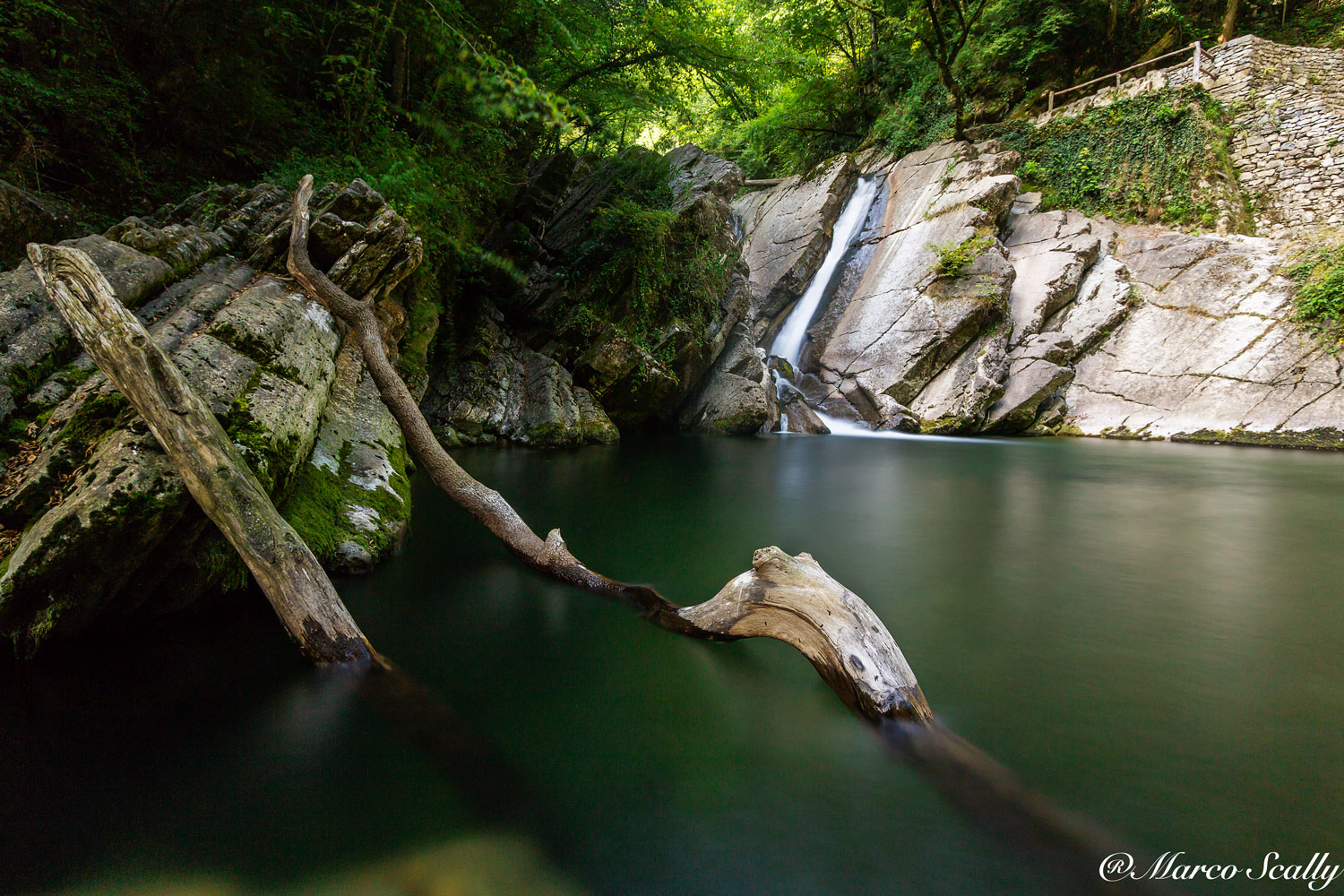 I due rami del parco Breggia