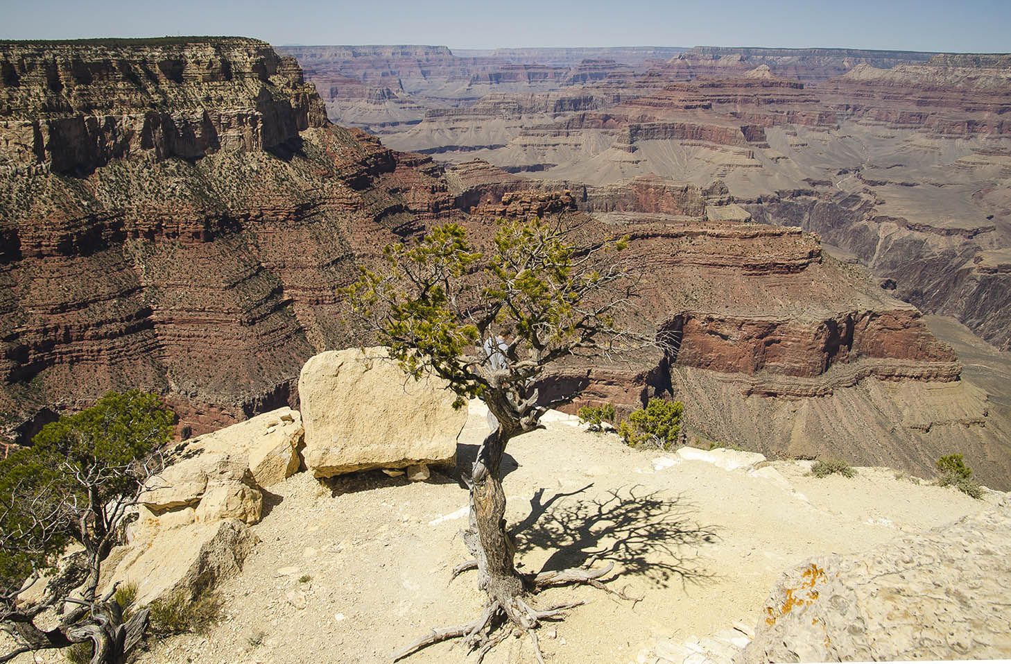 Gran Canyon