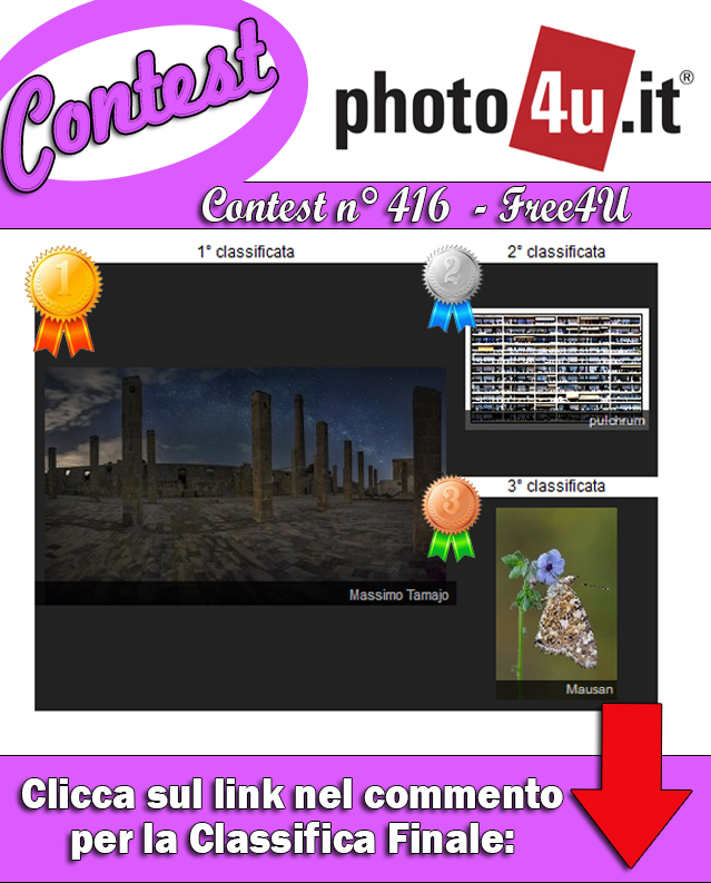 416� Contest: Free4U - Classifica