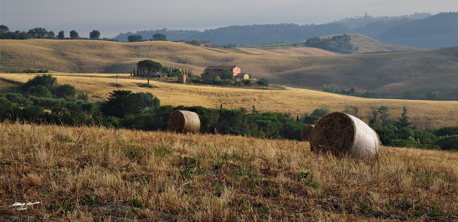 Casolari nella Collina.