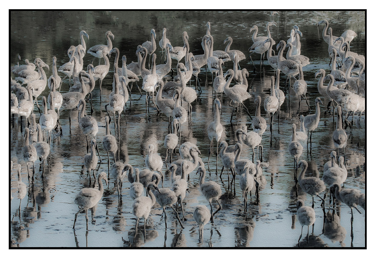 Da grandi saranno bellissimi...