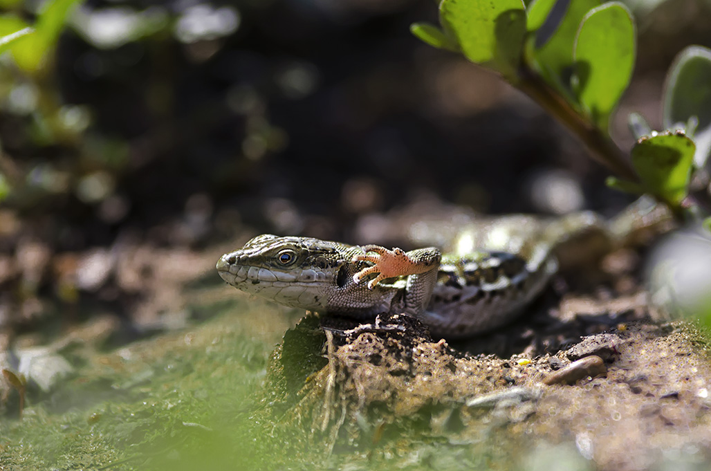 No foto, per favore....