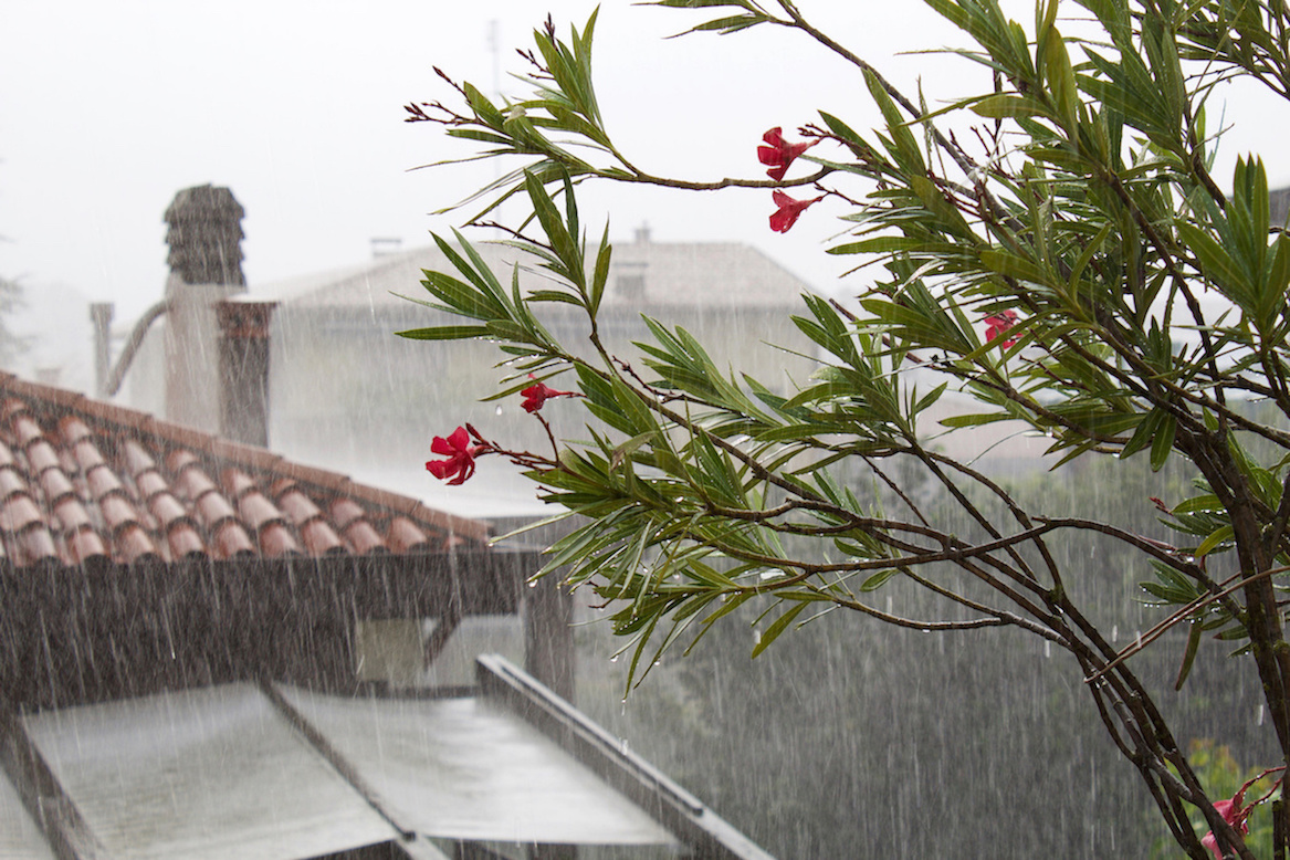 Piove, senti come piove - madonna come piove - senti come viene giu'!