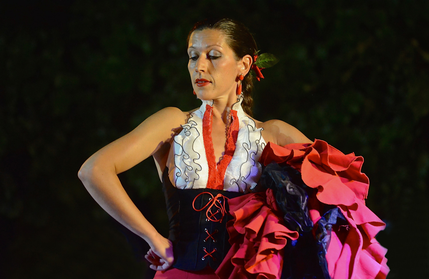 Expression flamenca...