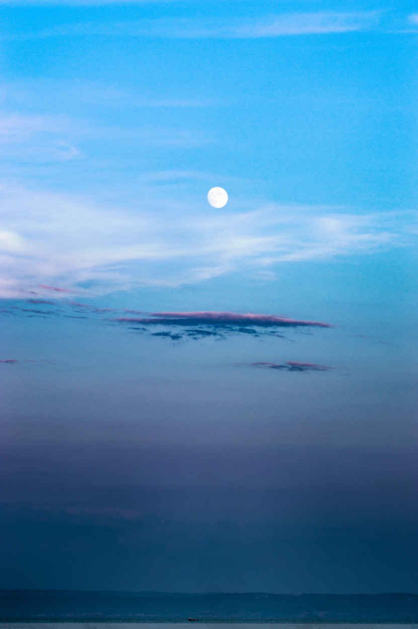 piccola cosa nel mondo gigante