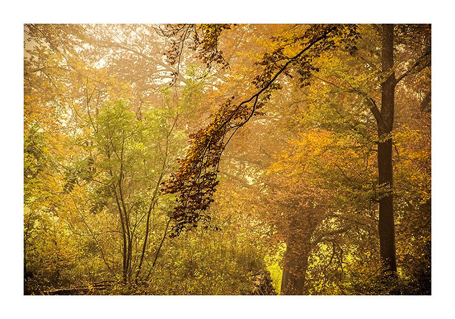 aspettando l'autunno