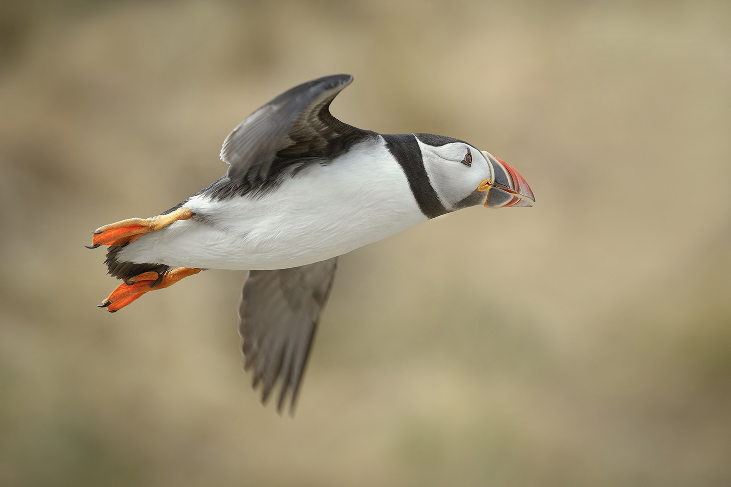 Uno sguardo oltre nuovi orizzonti