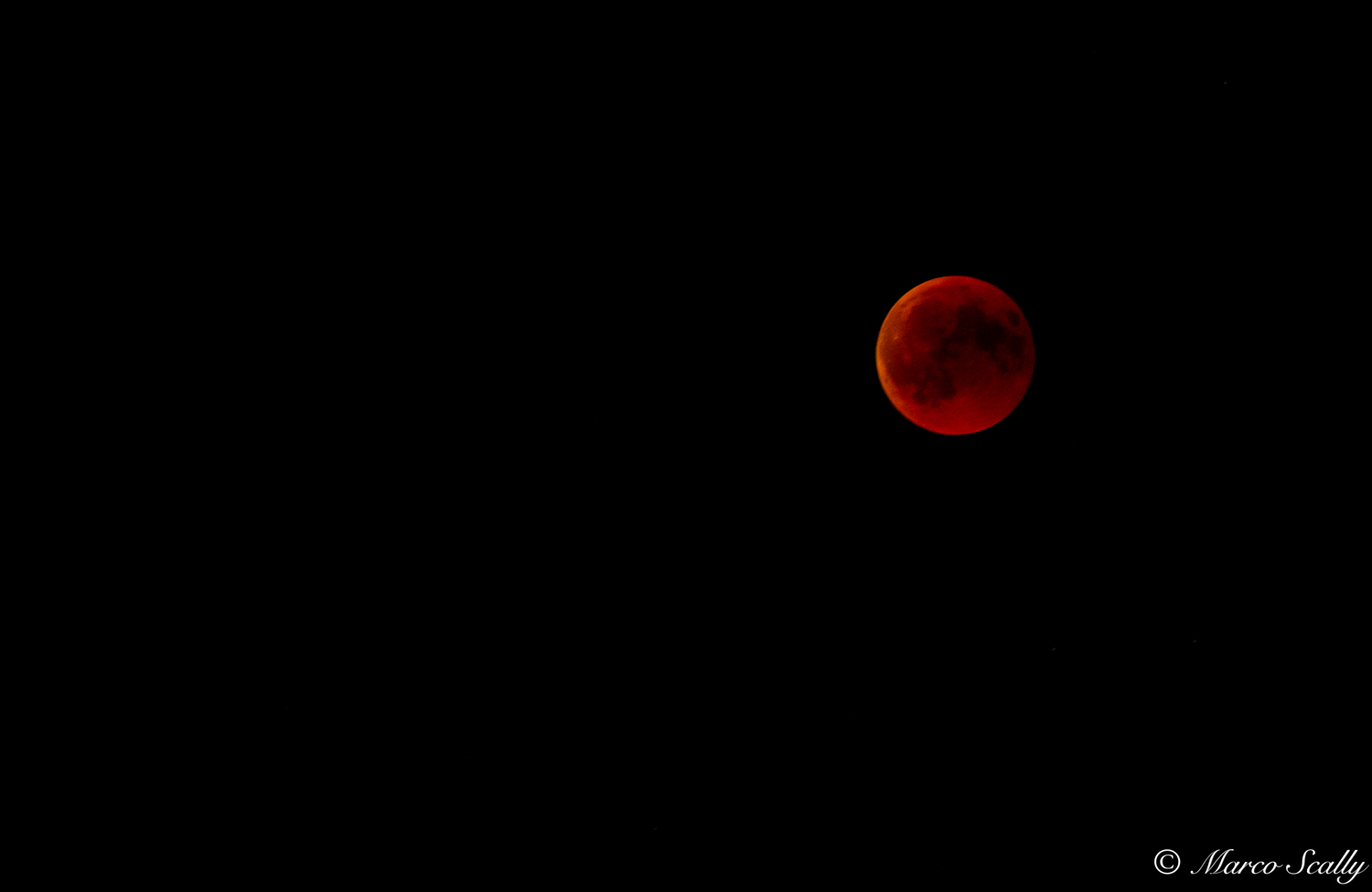 My bloody moon