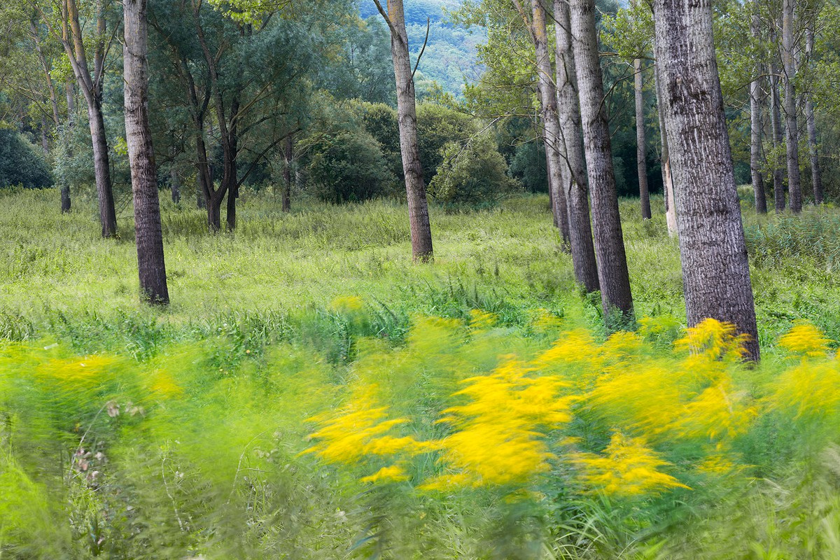 Impressioni in Pieno Formato