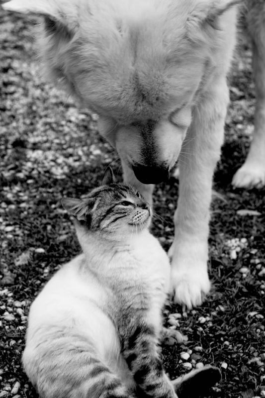 lovers! casper & blondie