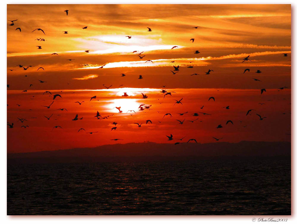 Tramonto a Lazise # 3