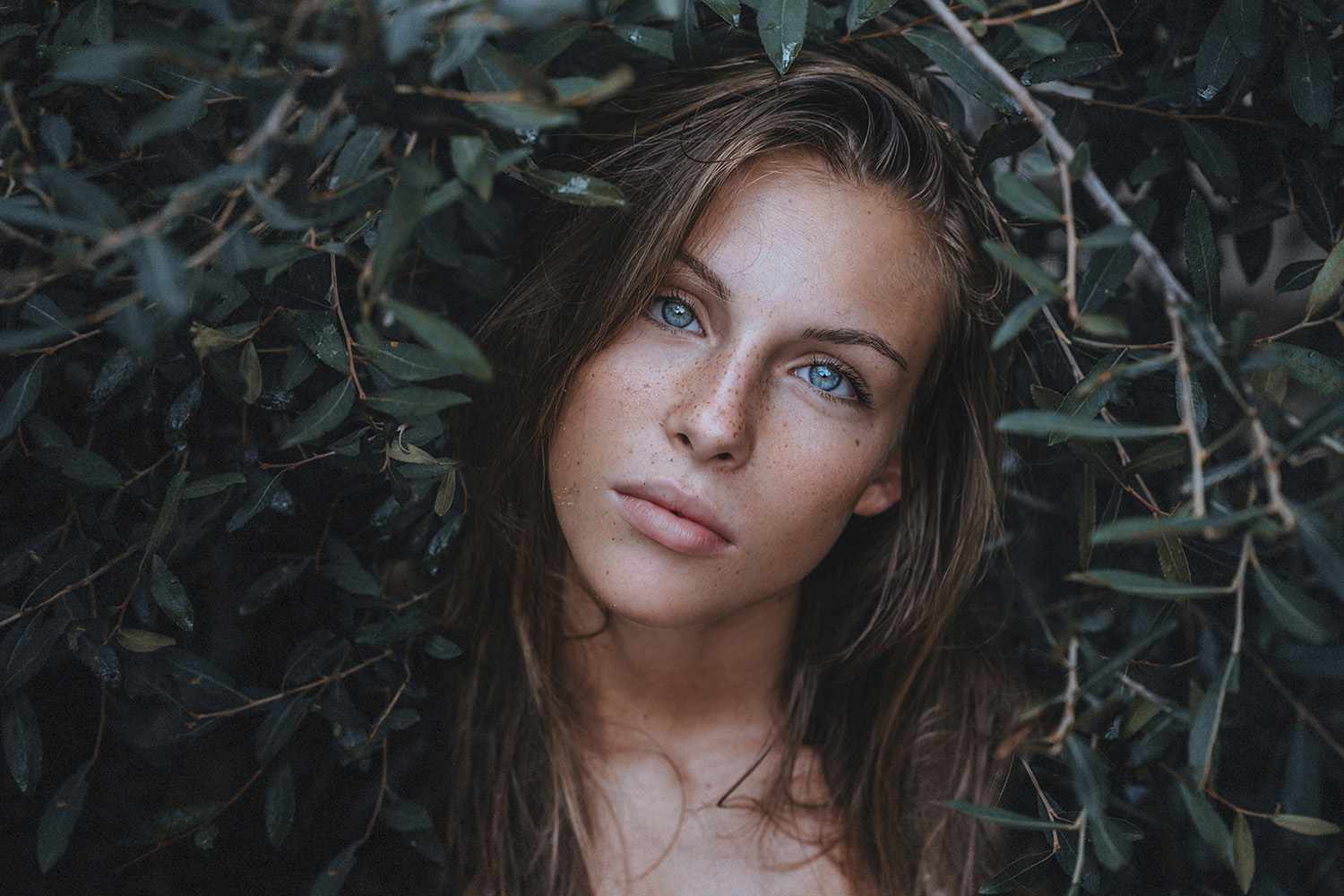 E poi c'� la bellezza...