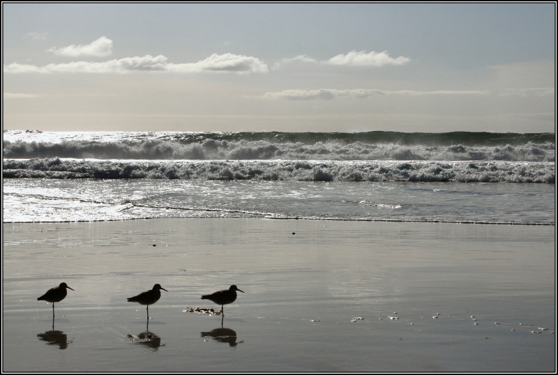 Pescatori di conchiglie...