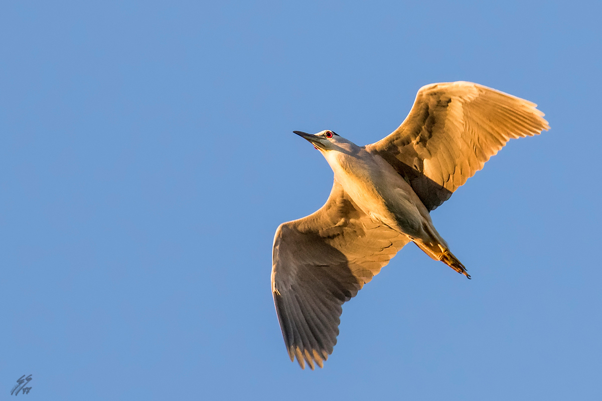 ..sul far della sera..