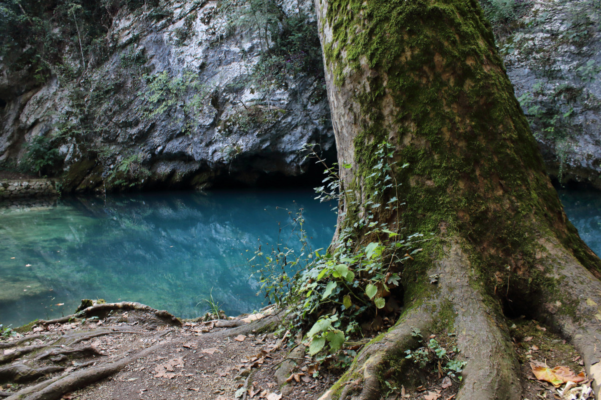 sorgente del gorgazzo