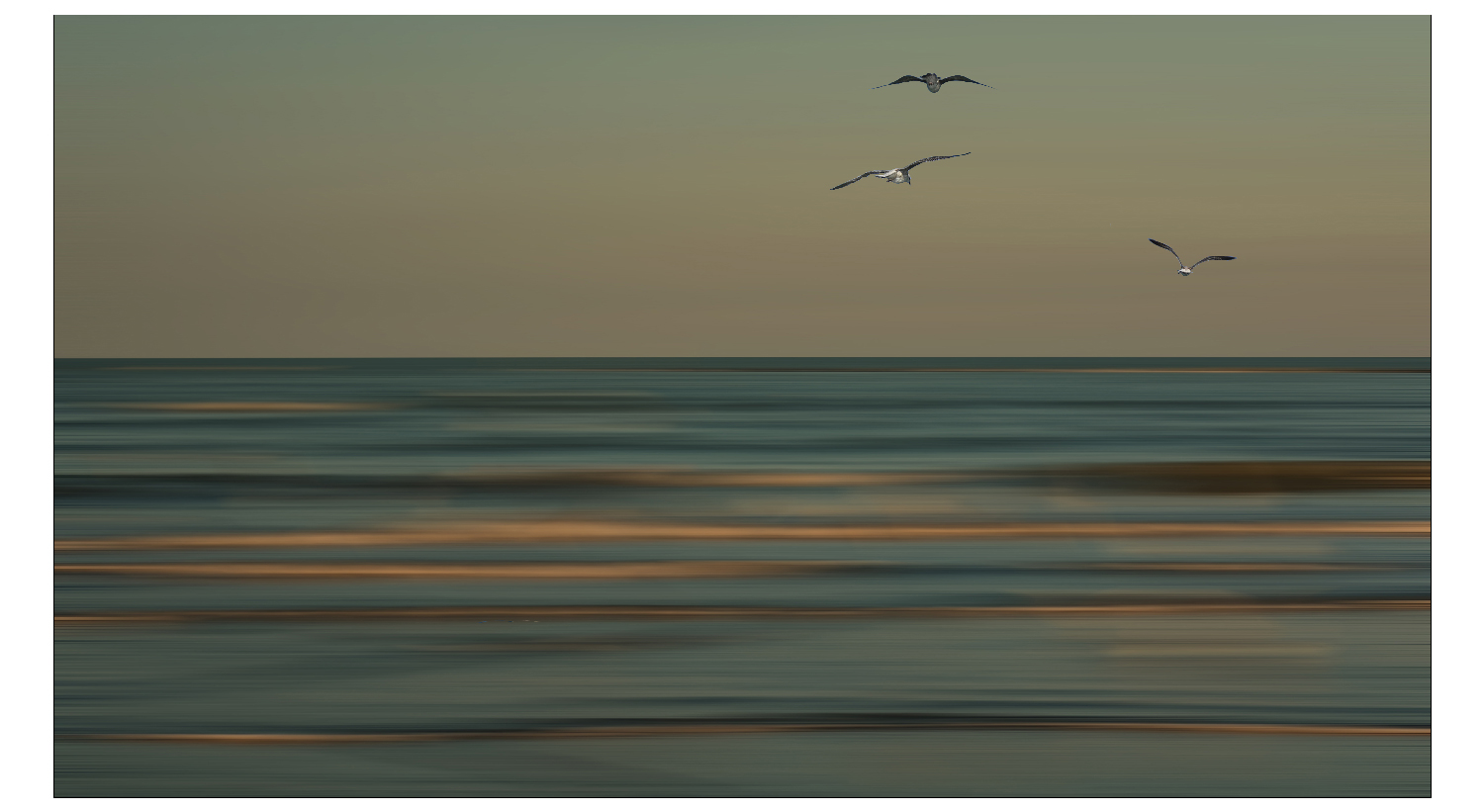 .....volo...shop.... .