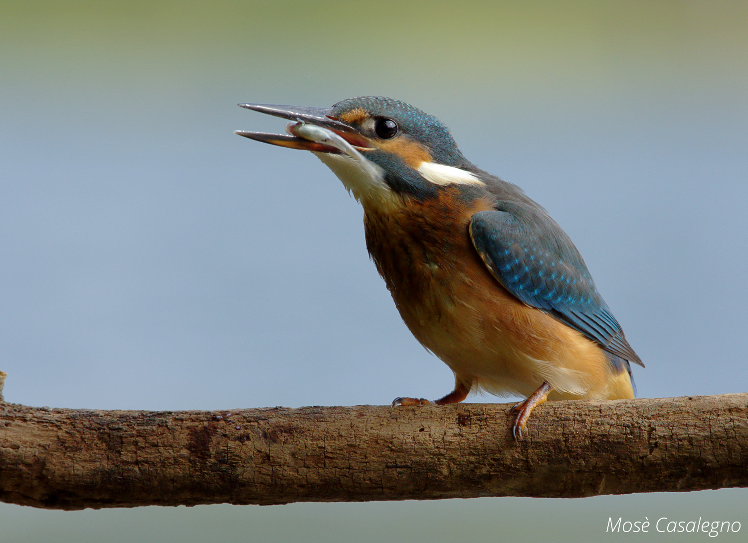 martina a pesca in una giornata grigia