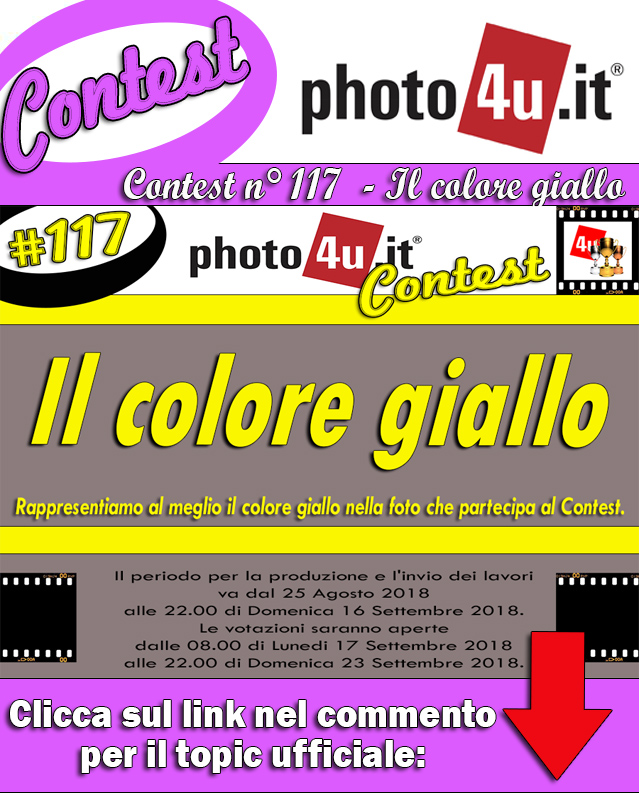 Contest 117 - Il colore giallo