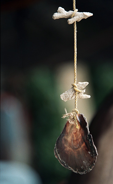 solo il vento mi puo' muovere